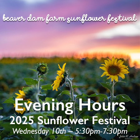 Evening Hours