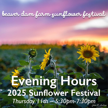 Evening Hours
