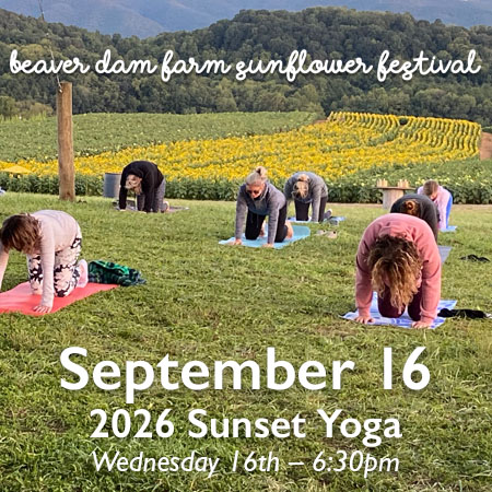 16 Wed SunsetYoga-2026