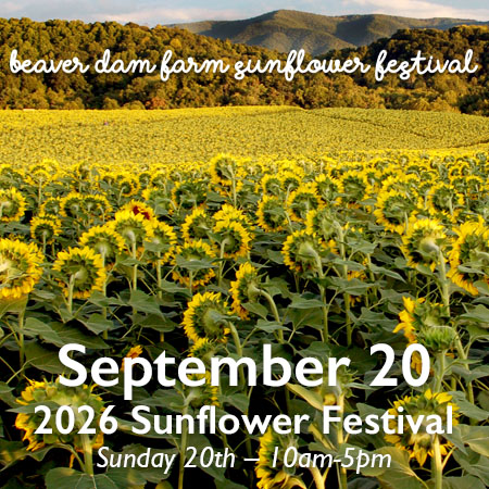 20 Sun-September-2026